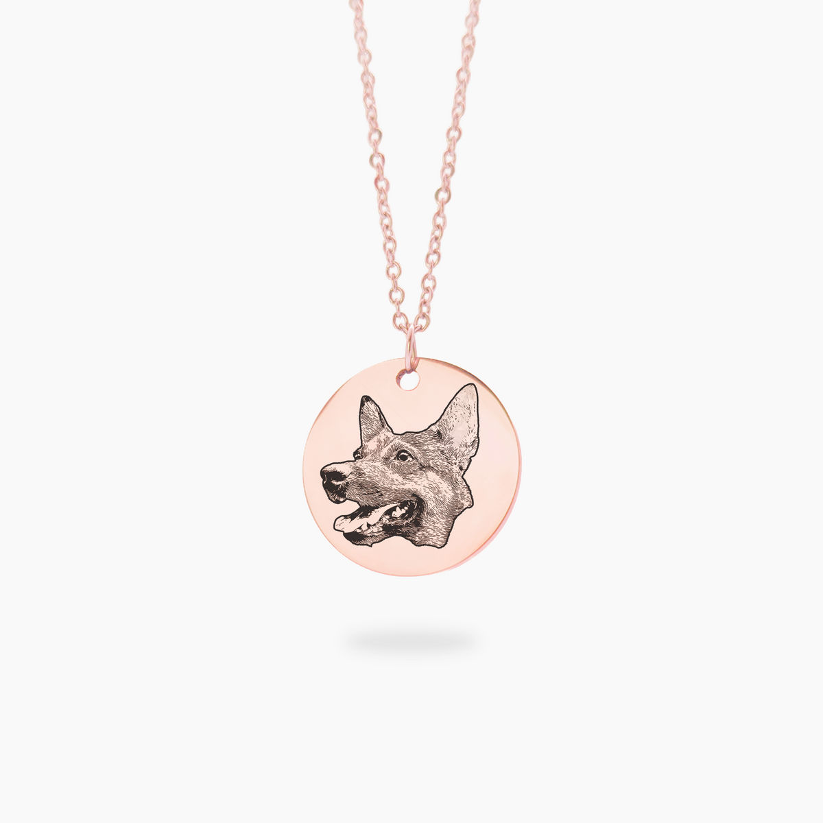 Colar com Pingente Redondo 20mm Personalizado em Aço Inox Premium