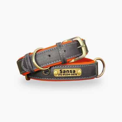 Coleira Pet de Couro com Tag Personalizada com Nome e Telefone para Cães e Gatos