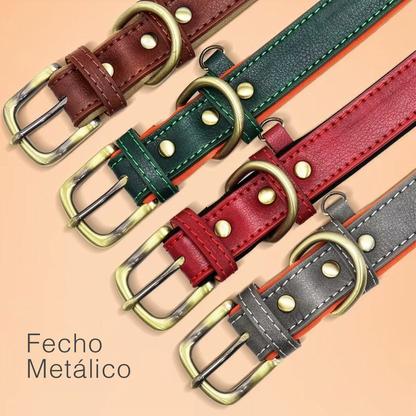 Coleira Pet de Couro com Tag Personalizada com Nome e Telefone para Cães e Gatos