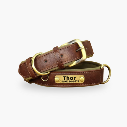 Coleira Pet de Couro com Tag Personalizada com Nome e Telefone para Cães e Gatos