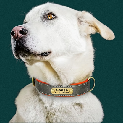 Coleira Pet de Couro com Tag Personalizada com Nome e Telefone para Cães e Gatos